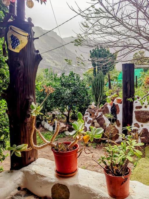 Villa Tamadaba أَغايتي المظهر الخارجي الصورة