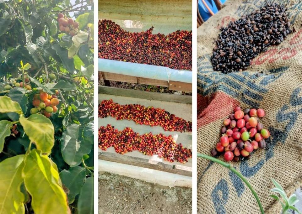 Villa Tamadaba أَغايتي المظهر الخارجي الصورة