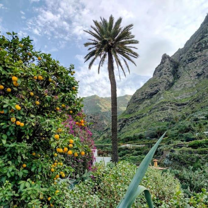 Villa Tamadaba أَغايتي المظهر الخارجي الصورة
